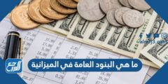 ما هي البنود العامة في الميزانية السنوية لعام 2024 2025